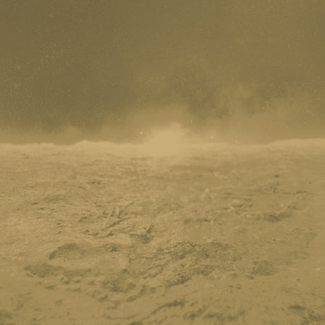 Armani LEOPARDI MURAL 9970 in Gold Mural - INSPIRED MOODS