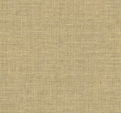 Collins & Company DC60416 Wallpaper - Eade's Wallpaper & Fabric