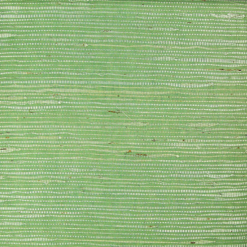 Astek NE054 Mint Grasscloth