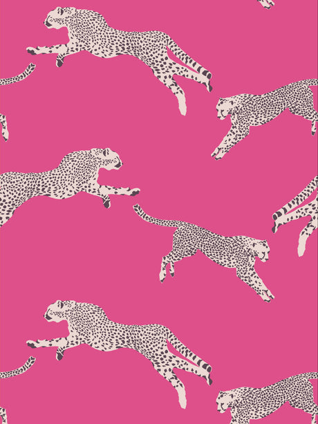 Scalamandre SC 0003WP88449D BUBBLEGUM LEAPING CHEETAH WALLPAPER - Eade's Wallpaper